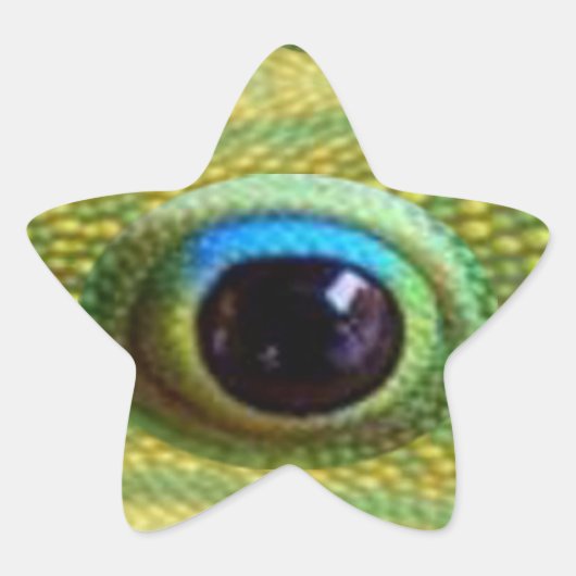 Lucky Chinese Dragon's Eye - WILL KILL EVIL Ster Sticker (Voorkant)