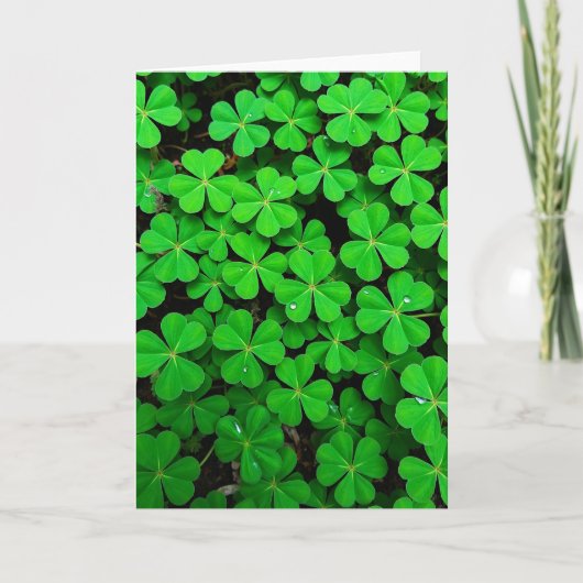 Lucky Clover Fresh View Kaart (Voorkant)