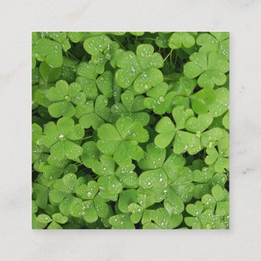Lucky clover monogram, groene weide vierkante visitekaartje (Achterkant)