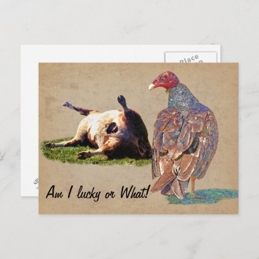 LUCKY DAY BRIEFKAART (Voorkant / Achterkant)