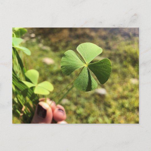 Lucky Day Briefkaart (Voorkant)