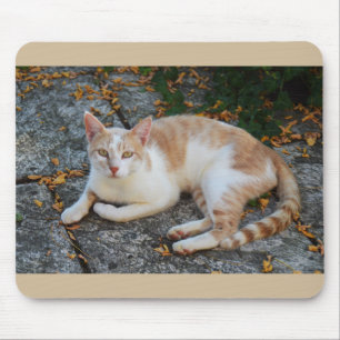 Lucky de mooie kat muismat