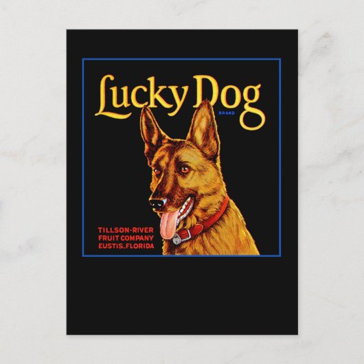Lucky Dog Briefkaart (Voorkant)