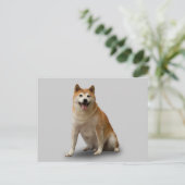 LUCKY DOG BRIEFKAART (Staand voorkant)