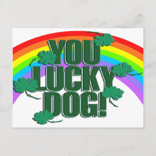 Lucky Dog en Rainbow St. Patrick's Day Briefkaart