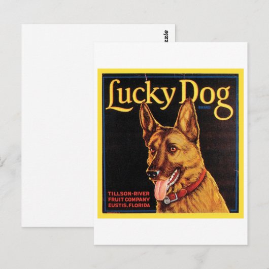 Lucky Dog -kratellabel Briefkaart (Voorkant / Achterkant)