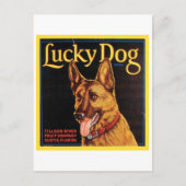 Lucky Dog -kratellabel Briefkaart (Voorkant)