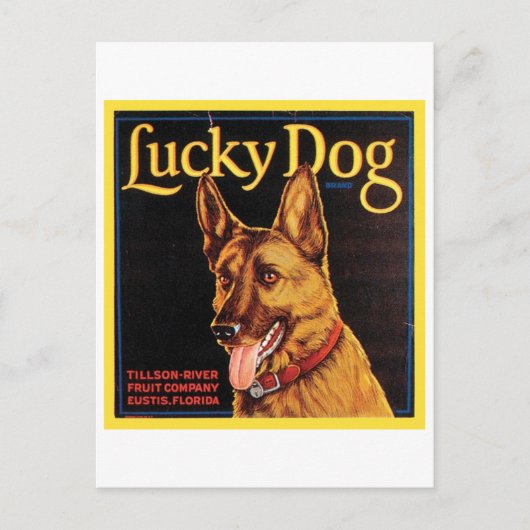 Lucky Dog -kratellabel Briefkaart (Voorkant)