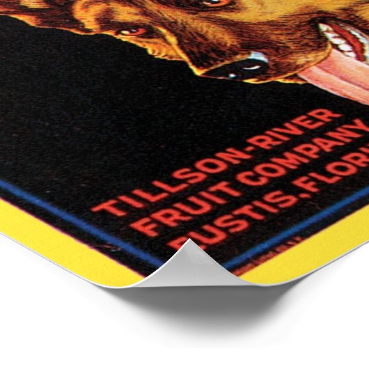 Lucky Dog -kratellabel Poster (Hoek)