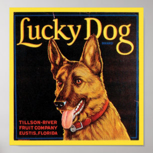 Lucky Dog -kratellabel Poster