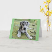 *LUCKY DOG LUCKY ME** JIJ IN MIJN LEVEN VERJAARDAG KAART (Gele Bloem)