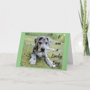 *LUCKY DOG LUCKY ME** JIJ IN MIJN LEVEN VERJAARDAG KAART