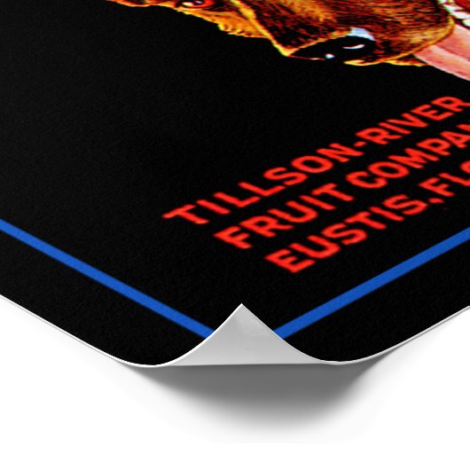 Lucky Dog Poster (Hoek)