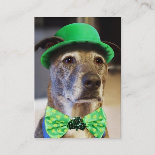 Lucky Dog Visitekaartje (Voorkant)