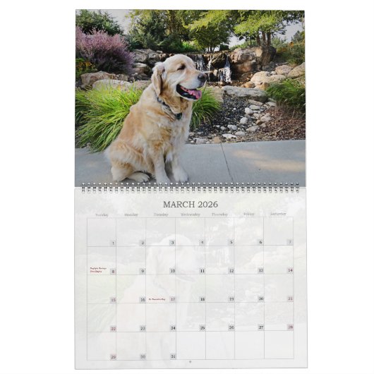 Lucky Dogs Calendar German Shepherd en meer Kalender (Mar 2026)