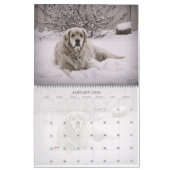Lucky Dogs Calendar German Shepherd en meer Kalender (Jan 2026)
