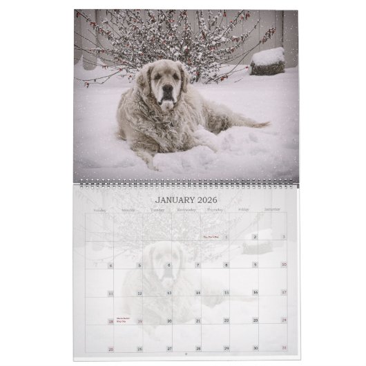 Lucky Dogs Calendar German Shepherd en meer Kalender (Jan 2026)