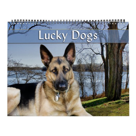Lucky Dogs Calendar German Shepherd en meer Kalender (Hoes)