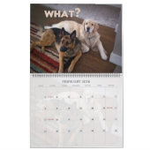 Lucky Dogs Calendar German Shepherd en meer Kalender (Feb 2026)
