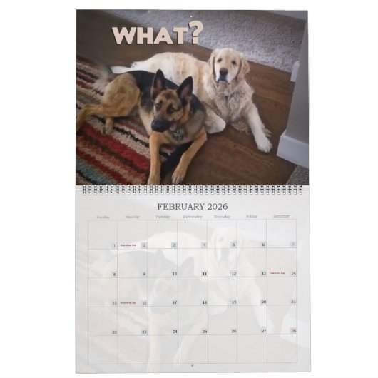 Lucky Dogs Calendar German Shepherd en meer Kalender (Feb 2026)