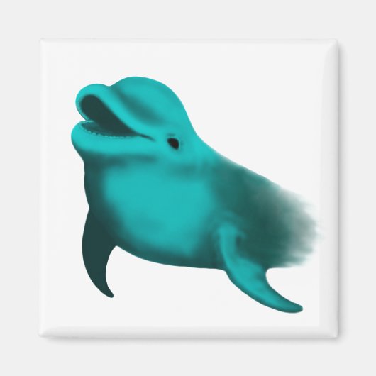 Lucky Dolphin Magneet (Voorkant)