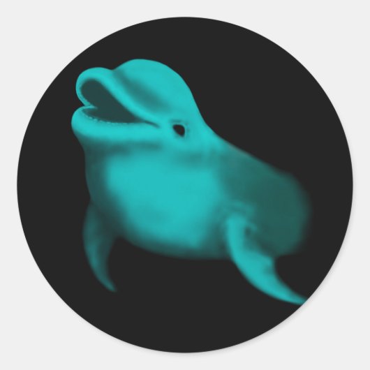 Lucky Dolphin Ronde Sticker (Voorkant)
