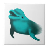 Lucky Dolphin Tegeltje (Voorkant)