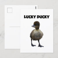 Lucky Duck Funny Schattige Duckling Bird Fotokunst