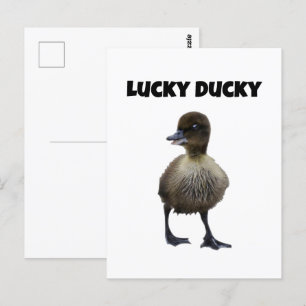 Lucky Duck Funny Schattige Duckling Bird Fotokunst Briefkaart