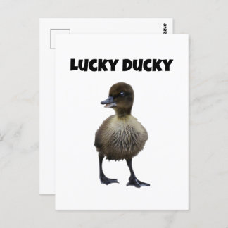 Lucky Duck Funny Schattige Duckling Bird Fotokunst Briefkaart