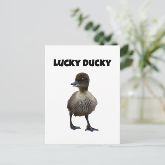 Lucky Duck Funny Schattige Duckling Bird Fotokunst Briefkaart (Staand voorkant)