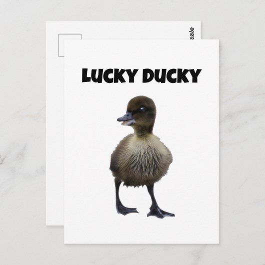 Lucky Duck Funny Schattige Duckling Bird Fotokunst Briefkaart (Voorkant / Achterkant)