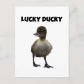 Lucky Duck Funny Schattige Duckling Bird Fotokunst Briefkaart (Voorkant)