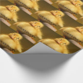 Lucky Ducky Cadeaupapier (Hoek)