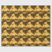 Lucky Ducky Cadeaupapier (Vlak)