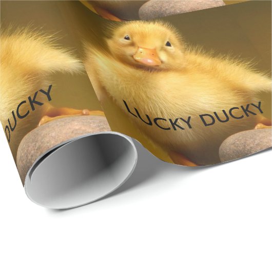 Lucky Ducky Cadeaupapier (Rol Hoek)