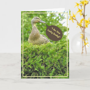 LUCKY DUCKY/HEB JE ALS VADER/EEND OP DE HAAG KAART