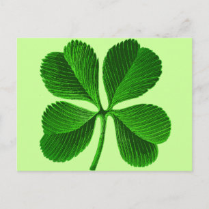 Lucky Four Leaf Clover Briefkaart