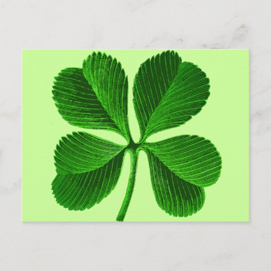 Lucky Four Leaf Clover Briefkaart (Voorkant)