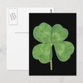 Lucky Four-Leaf Clover Shamrock Briefkaart (Voorkant / Achterkant)
