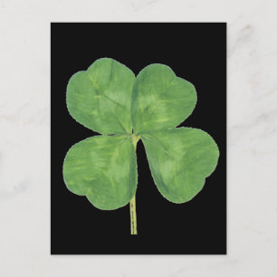 Lucky Four-Leaf Clover Shamrock Briefkaart