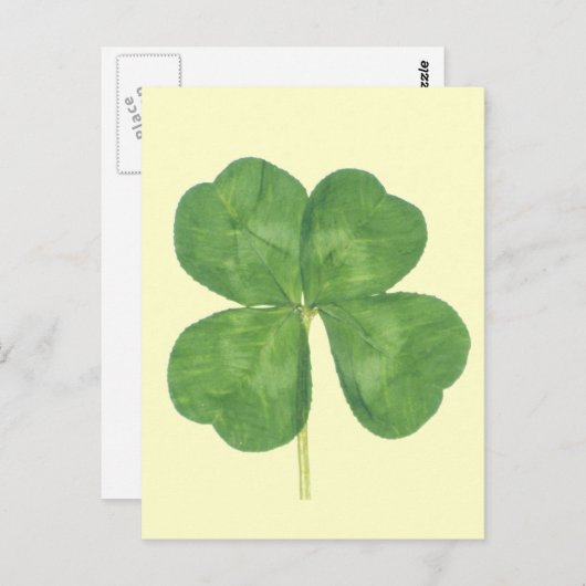 Lucky Four-Leaf Clover Shamrock Briefkaart (Voorkant / Achterkant)
