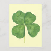 Lucky Four-Leaf Clover Shamrock Briefkaart (Voorkant)