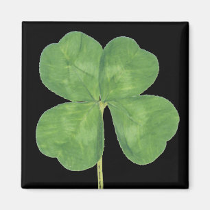 Lucky Four-Leaf Clover Shamrock Magneet