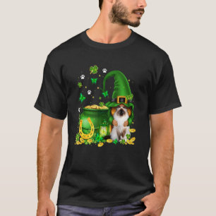 Lucky Gnome U2013 Gnome Hug Birman Cat St Patricks T-shirt