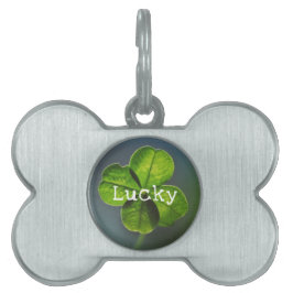 Lucky Green Four Leaf Clover Huisdieren Naamplaatje