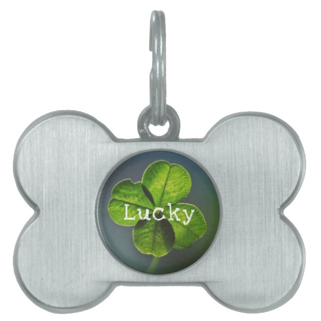 Lucky Green Four Leaf Clover Huisdieren Naamplaatje (voorkant)