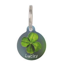 Lucky Green Four Leaf Clover