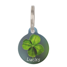 Lucky Green Four Leaf Clover Huisdierpenning