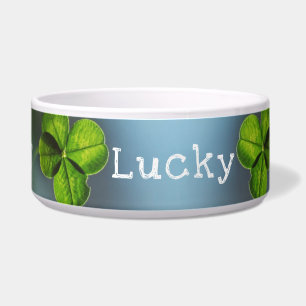 Lucky Green Four Leaf Clover Voerbakje